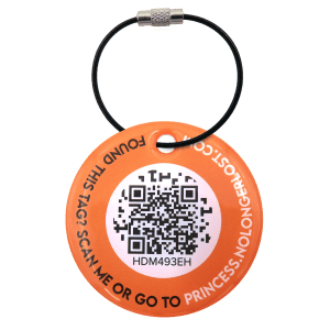 NoLongerLost_Tag_Back_1600